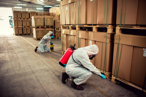 Best Emergency Pest Control  in Carnesville, GA
