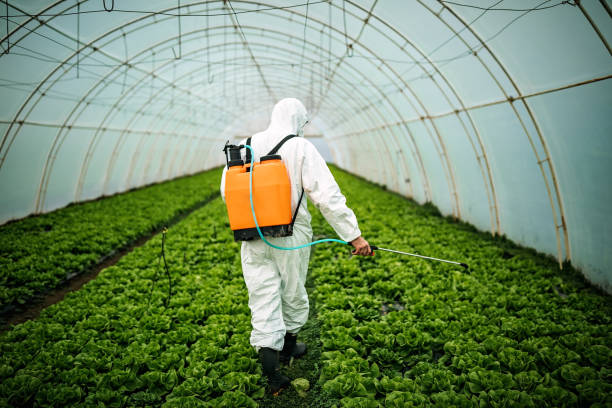 Best Pest Control Near Me  in Carnesville, GA