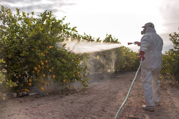 Best Wasp Removal Services  in Carnesville, GA