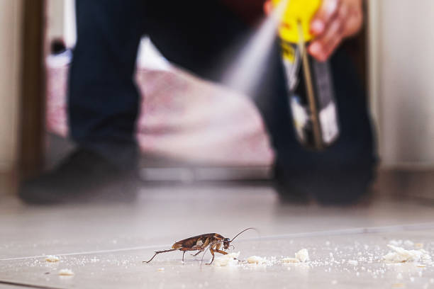Best Affordable Pest Control Services  in Carnesville, GA