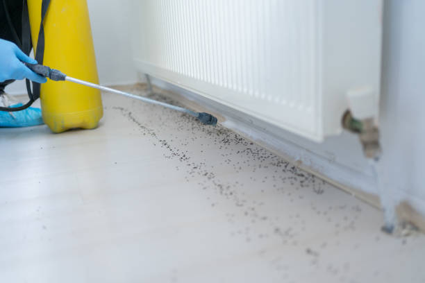 Best Mosquito Control Services  in Carnesville, GA